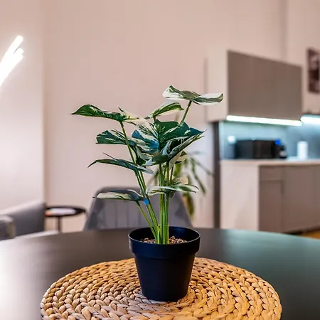 Grand Danube Apartment